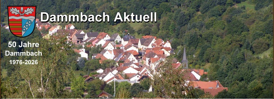 Dammbach Aktuell Impressionen